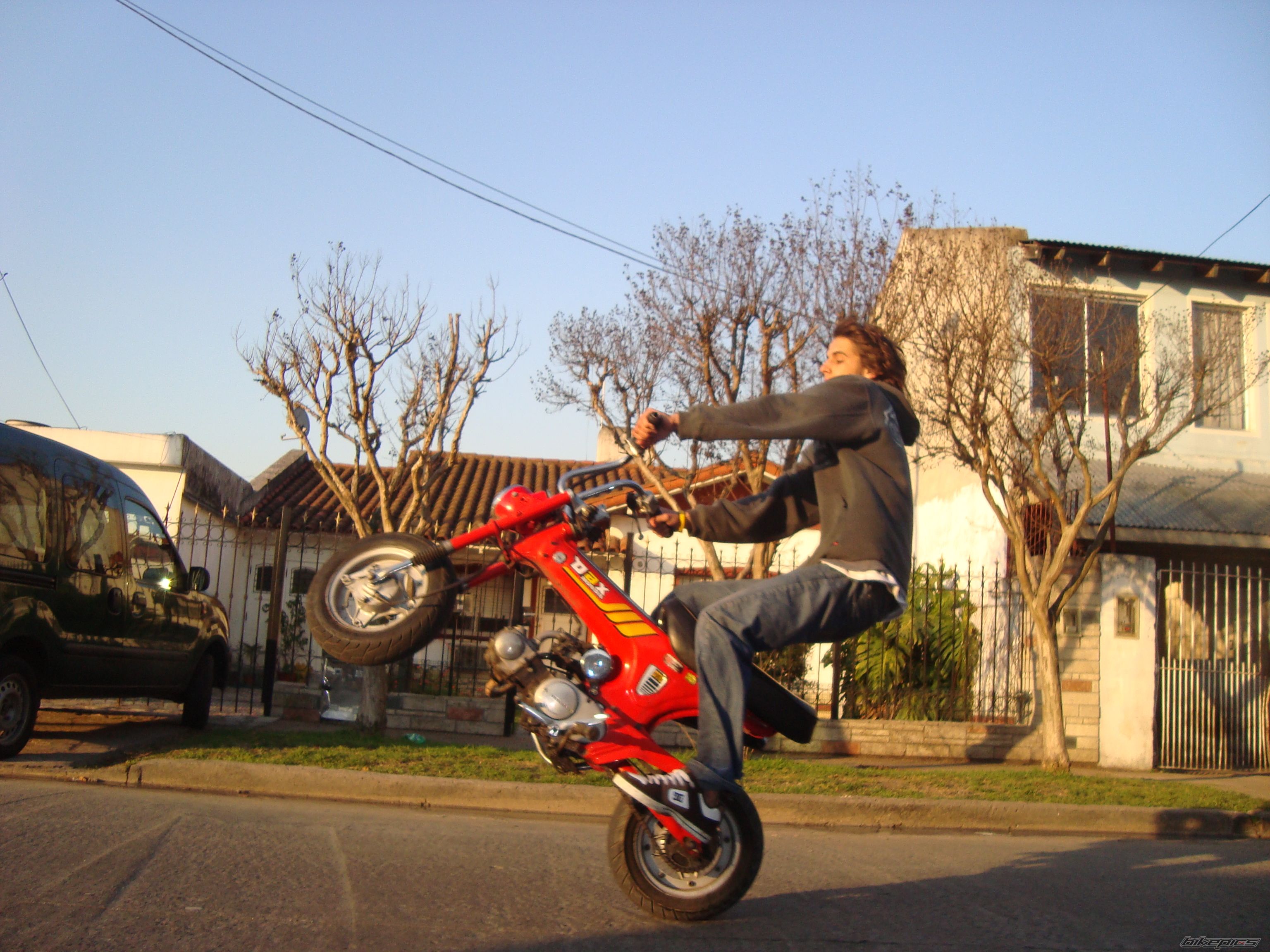 Photo 1472280