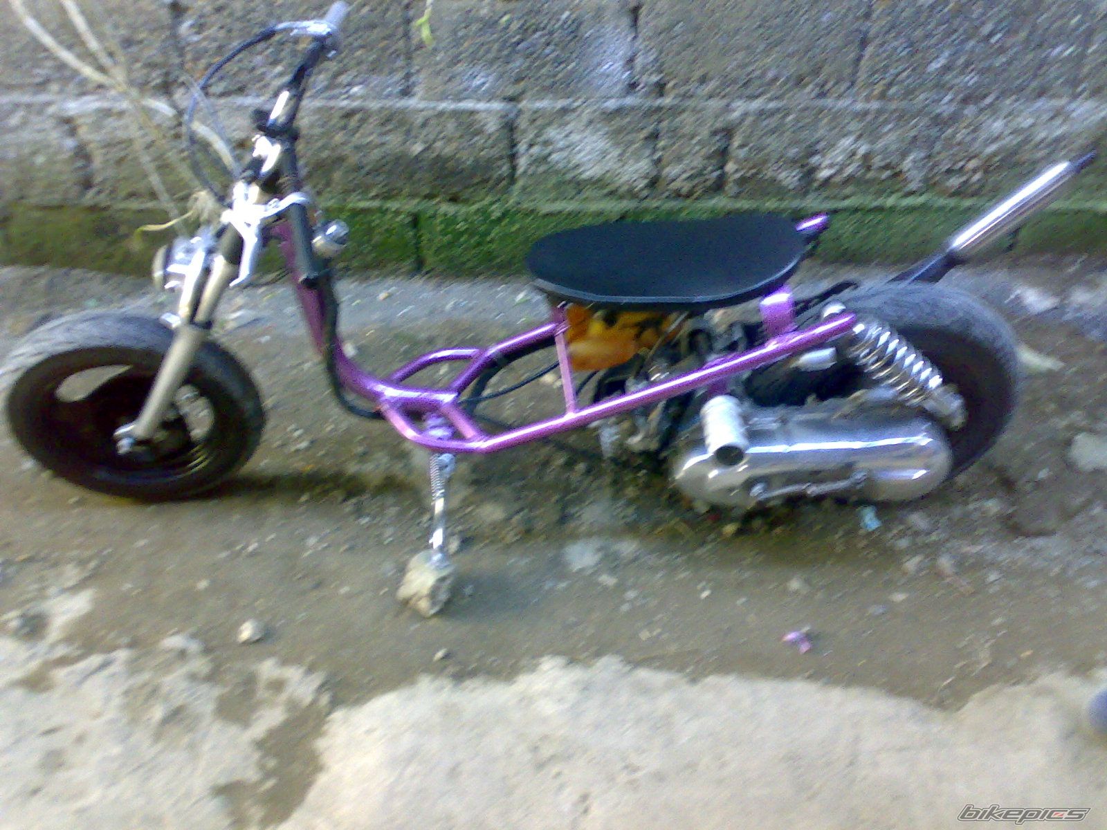 Photo 1472376