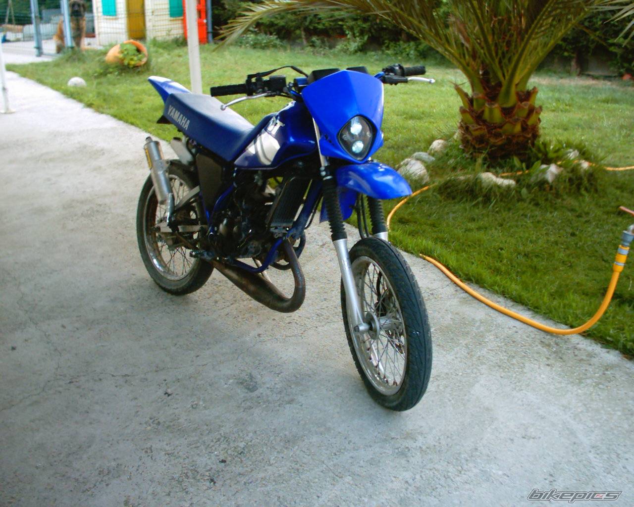 Photo 147241