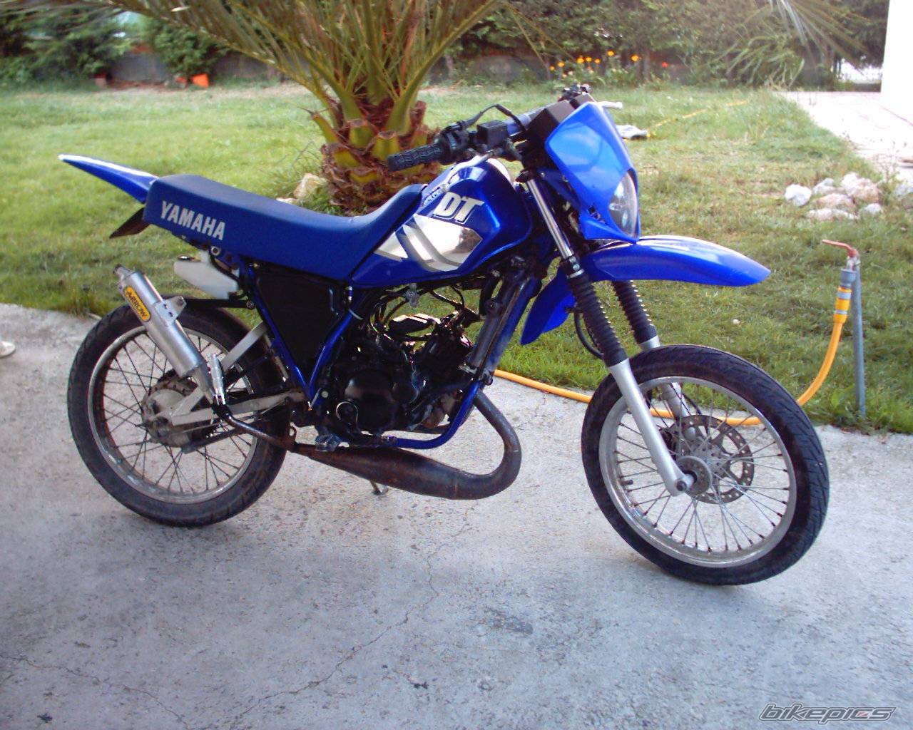 Photo 147242