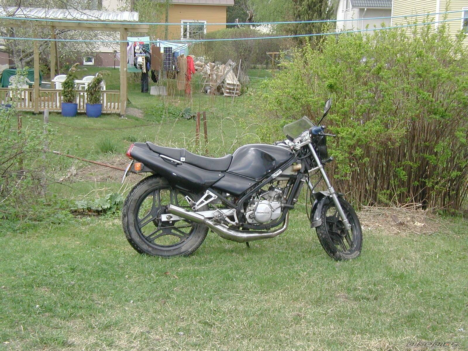 Photo 147245