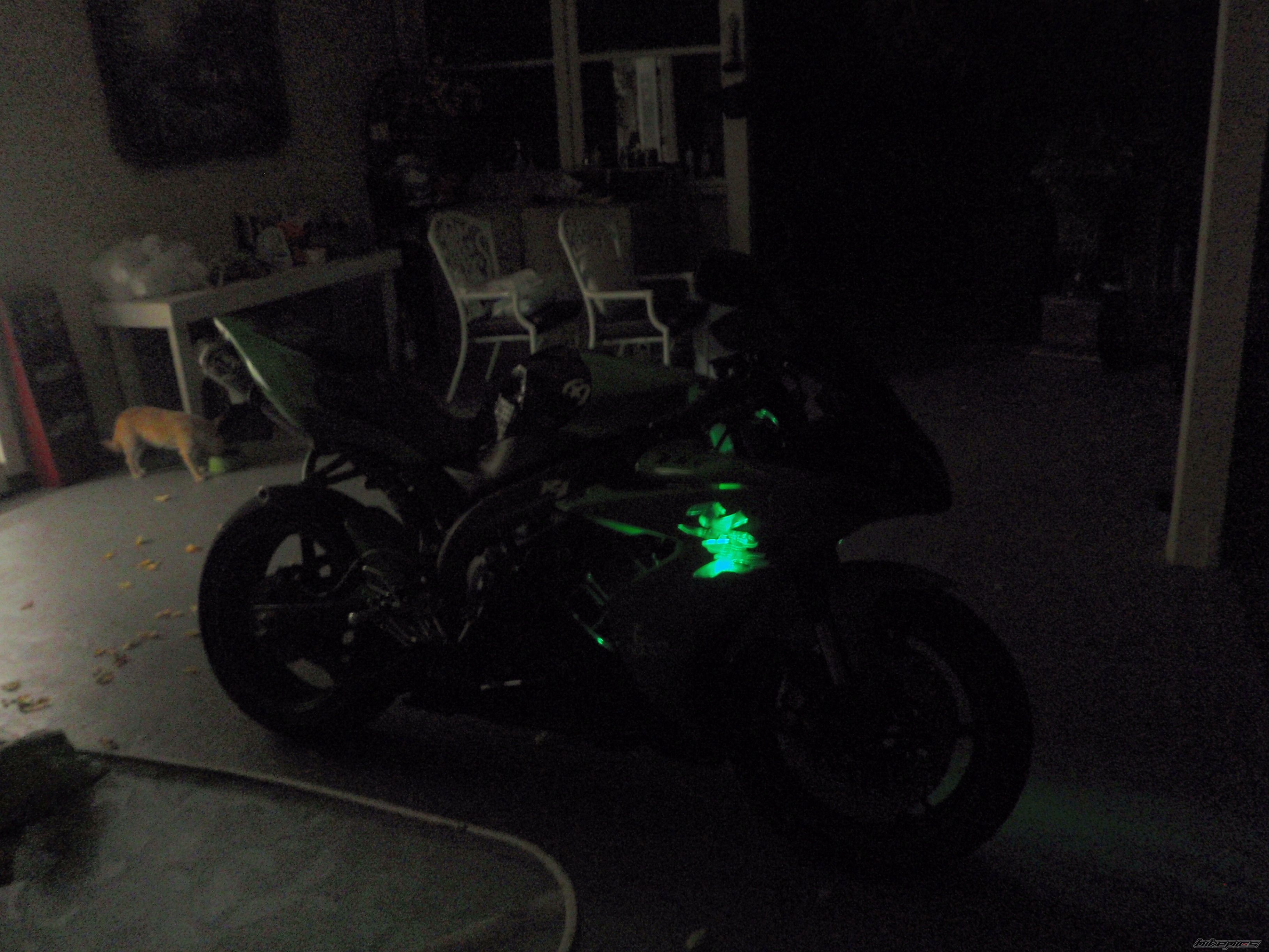 Photo 1472494