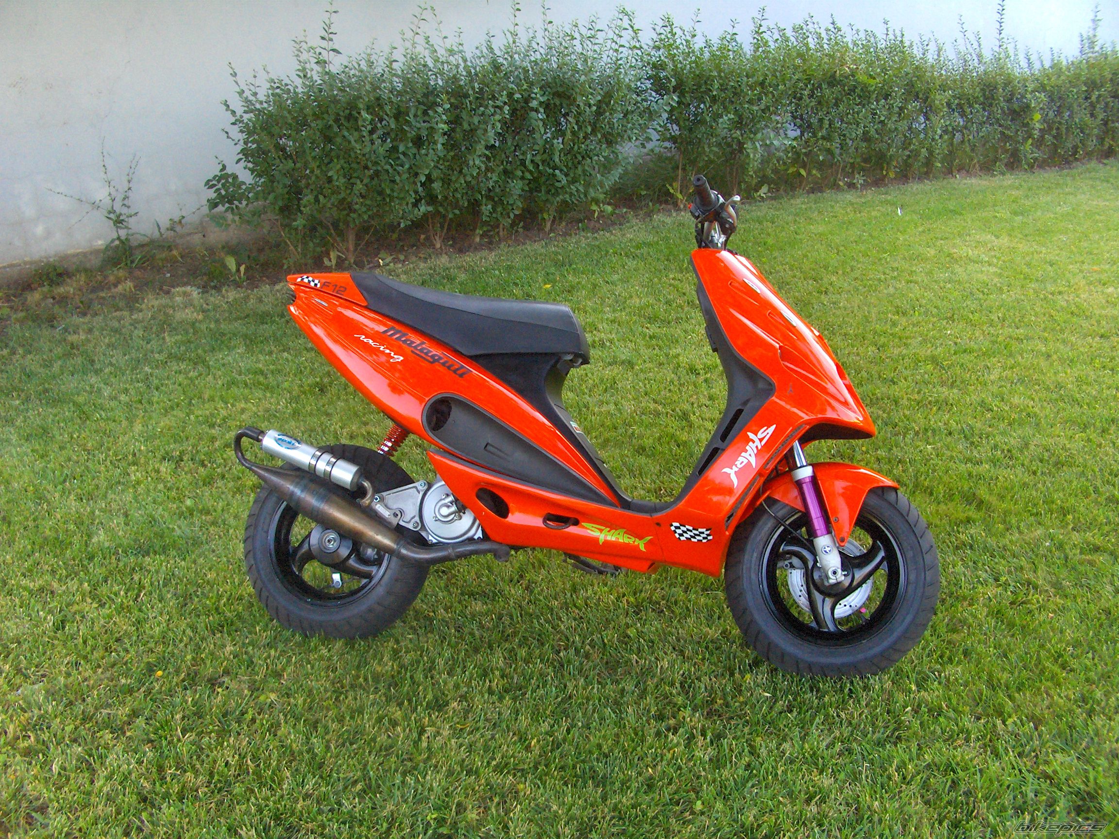 Photo 1472612
