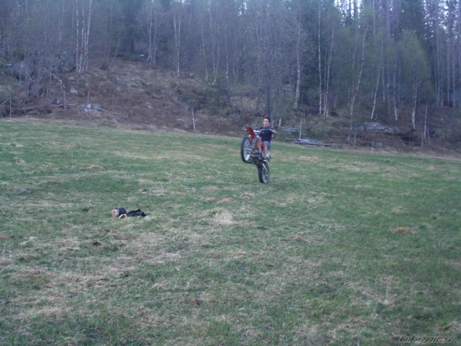 Bike Photo 147291