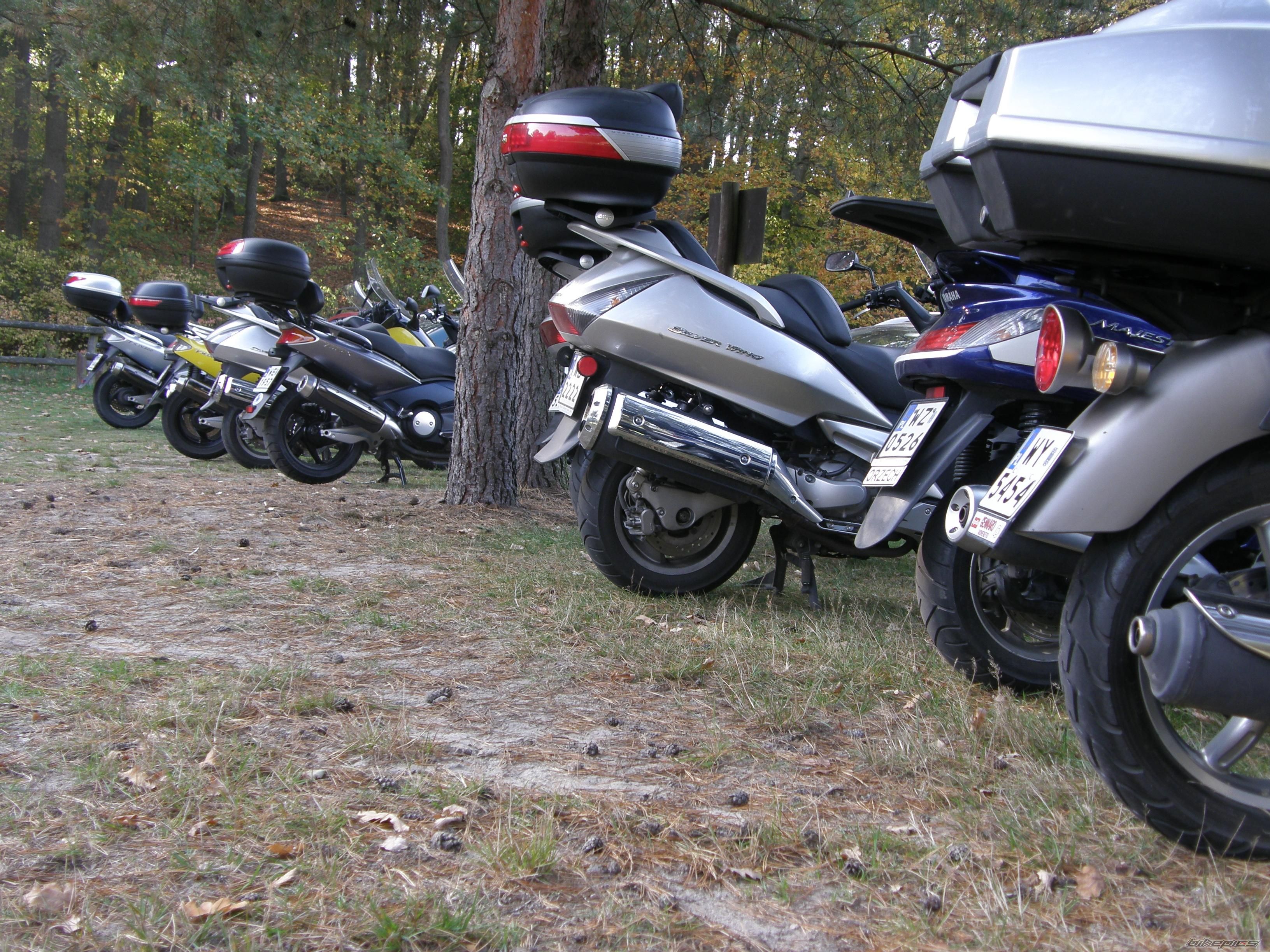 Photo 1472929