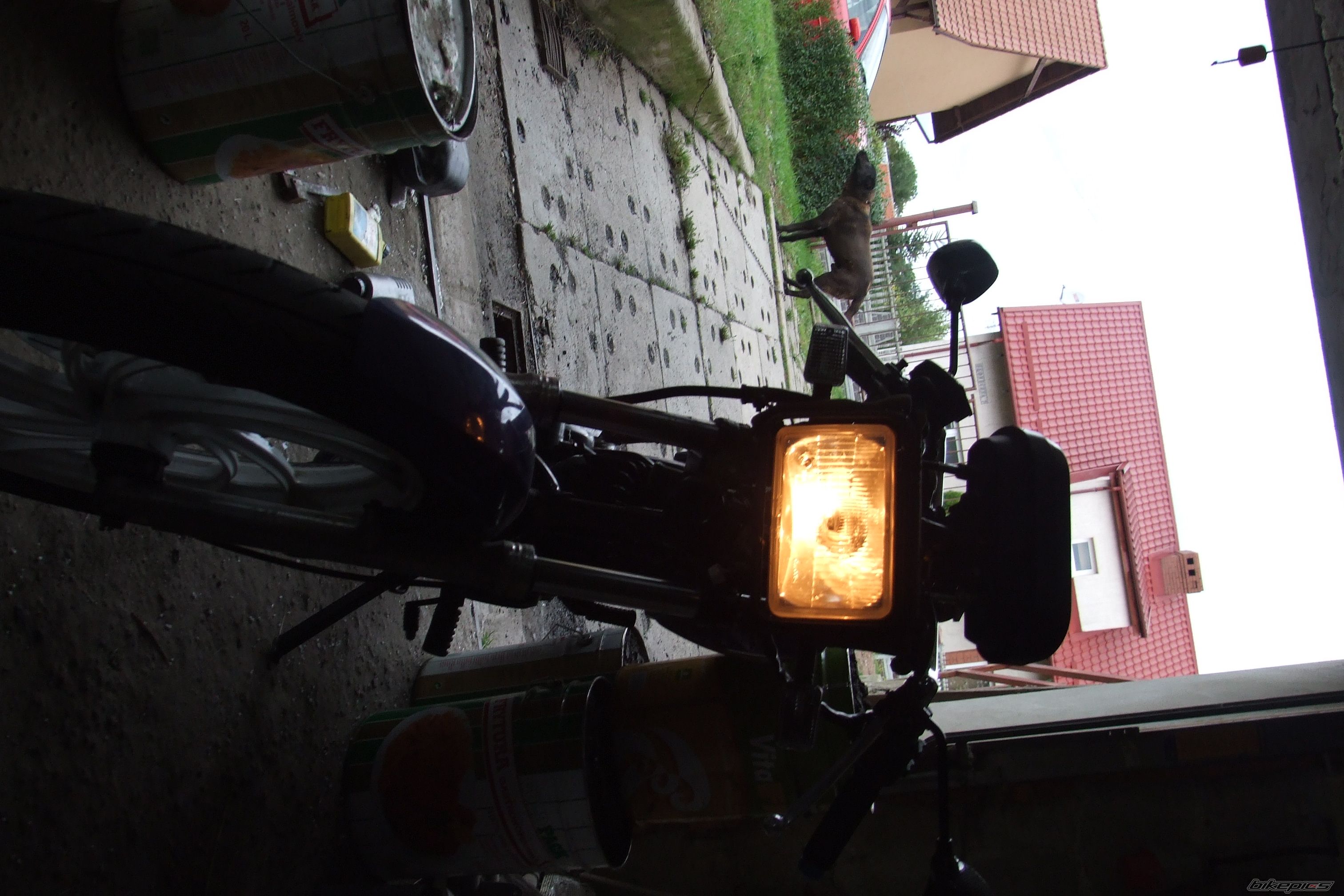 Photo 1472931
