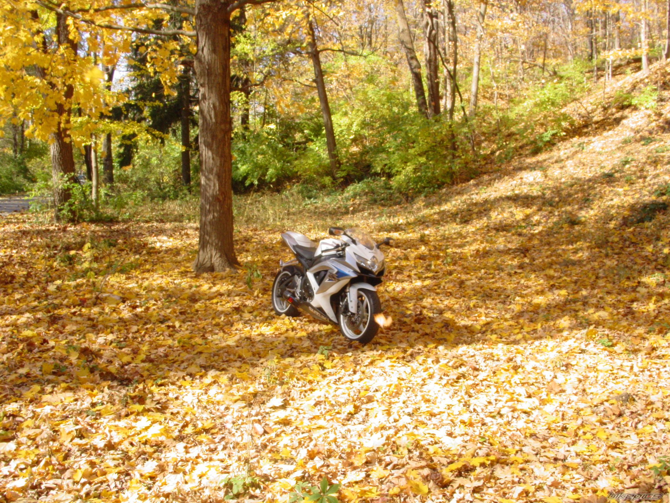 Bike Photo 1472937