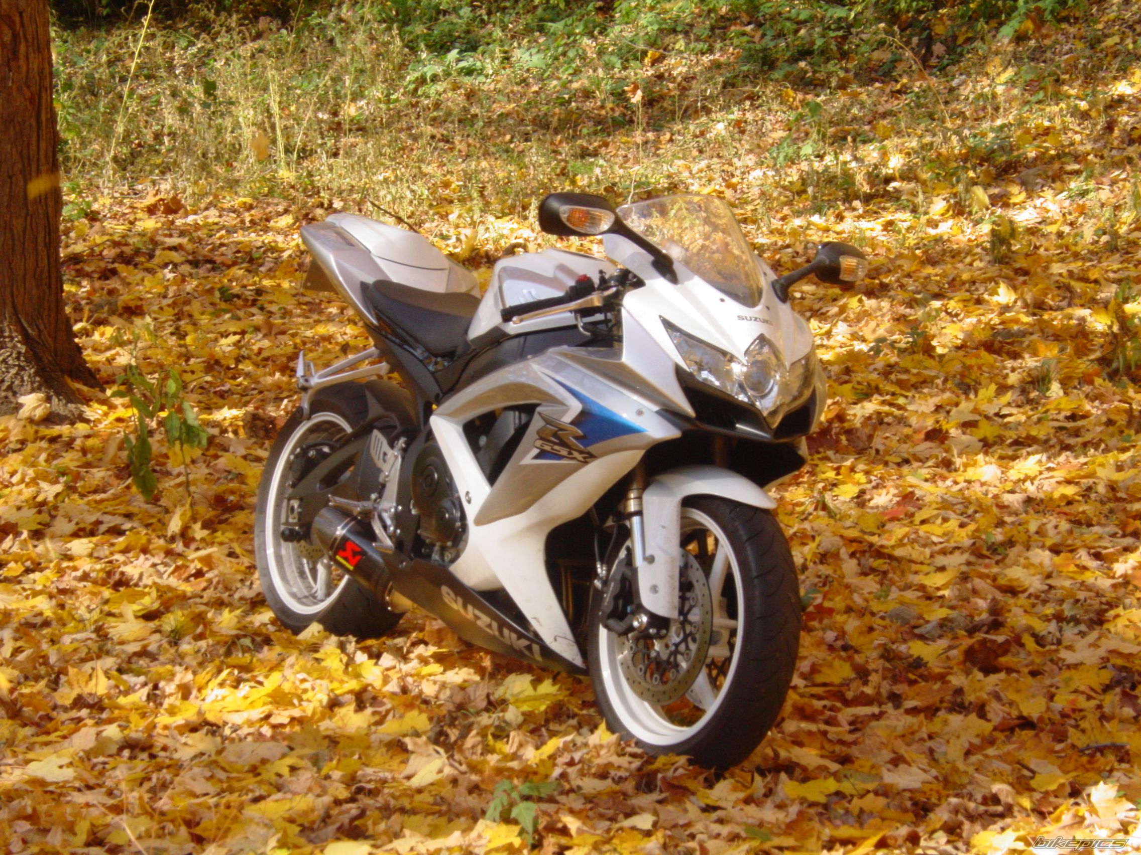 Bike Photo 1472940