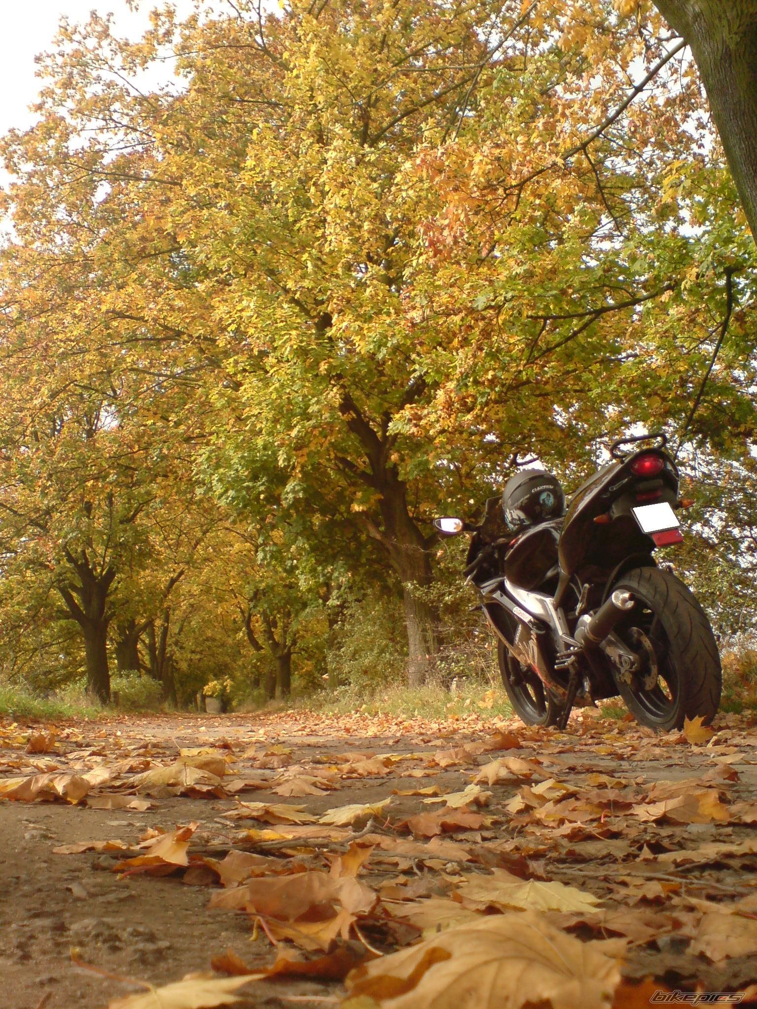 Photo 1472948