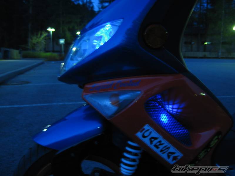 Photo 147312