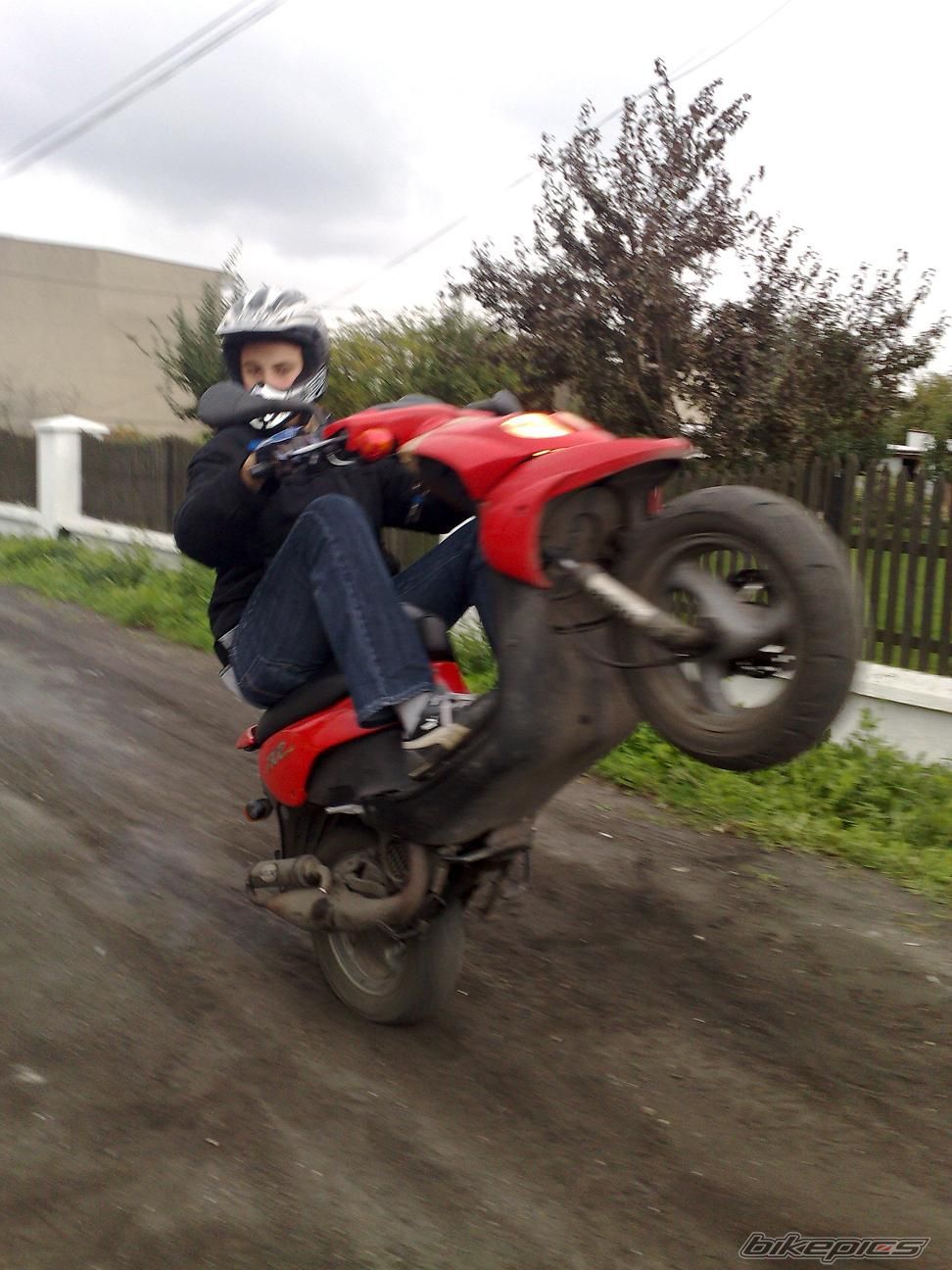 Photo 1473149
