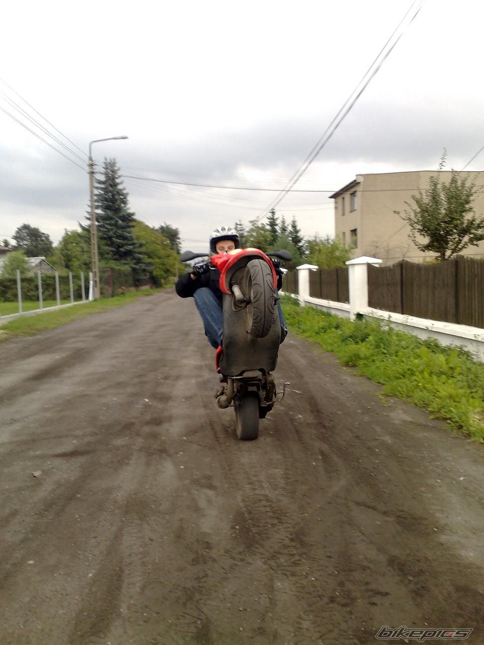 Photo 1473155