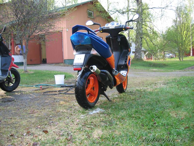 Photo 147319