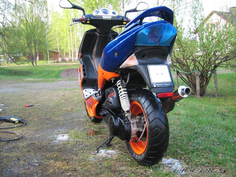 Photo 147320