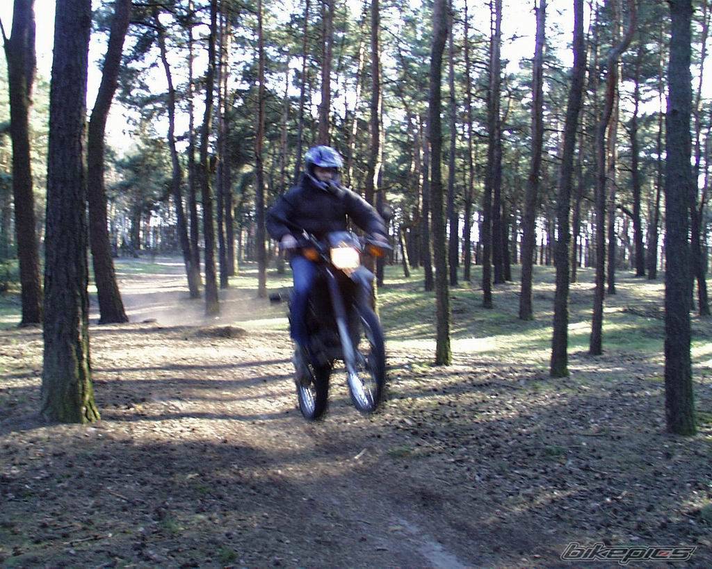 Photo 147321
