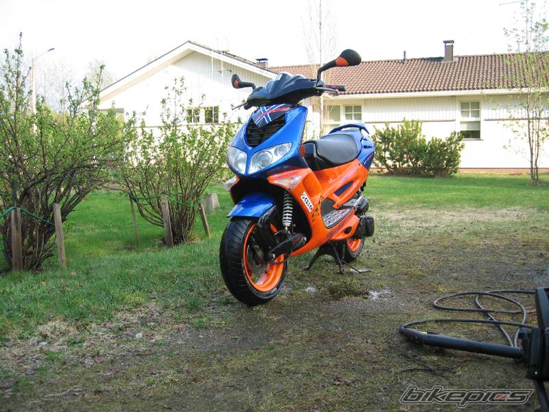 Photo 147323
