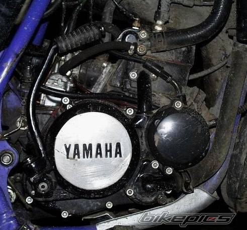 Photo 147324