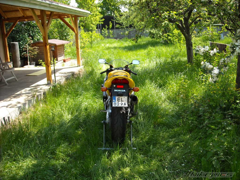 Photo 1473247
