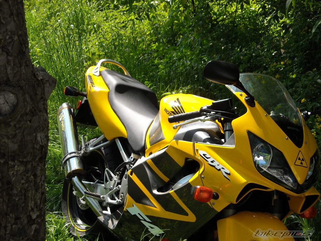 Photo 1473249