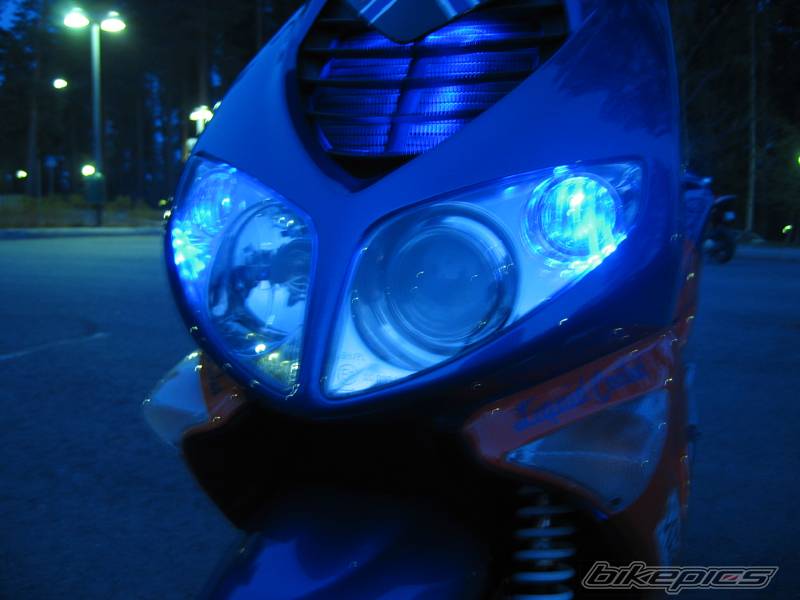 Photo 147325