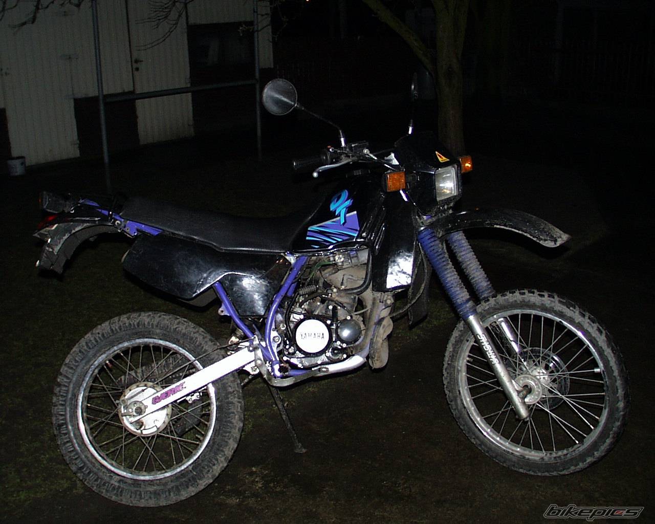 Photo 147326