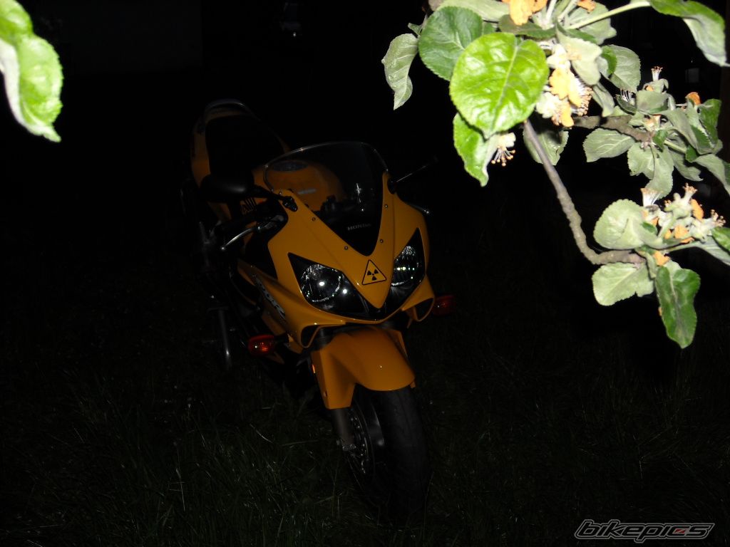 Photo 1473261