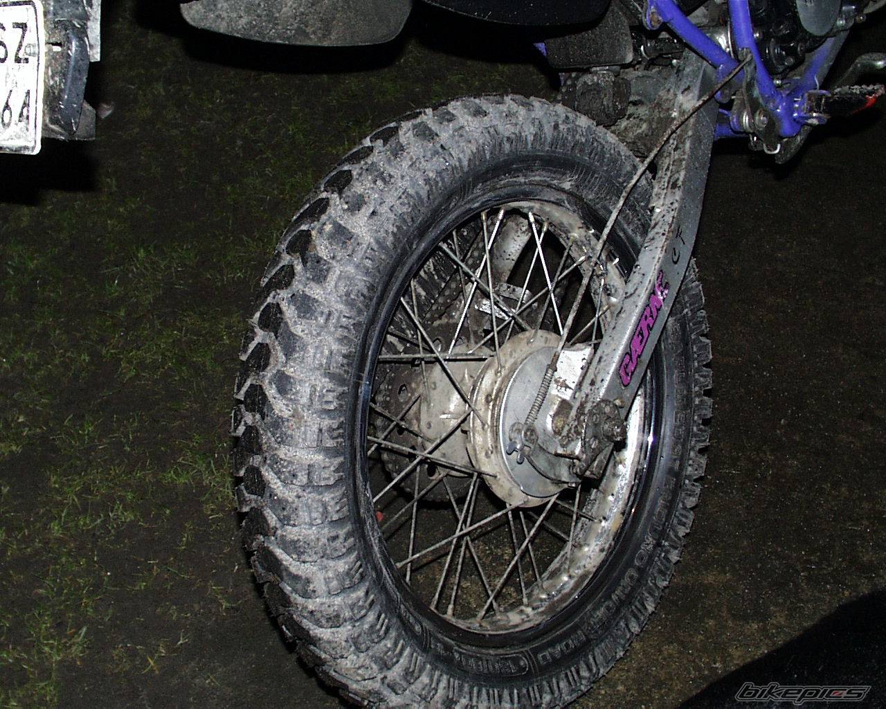 Photo 147327