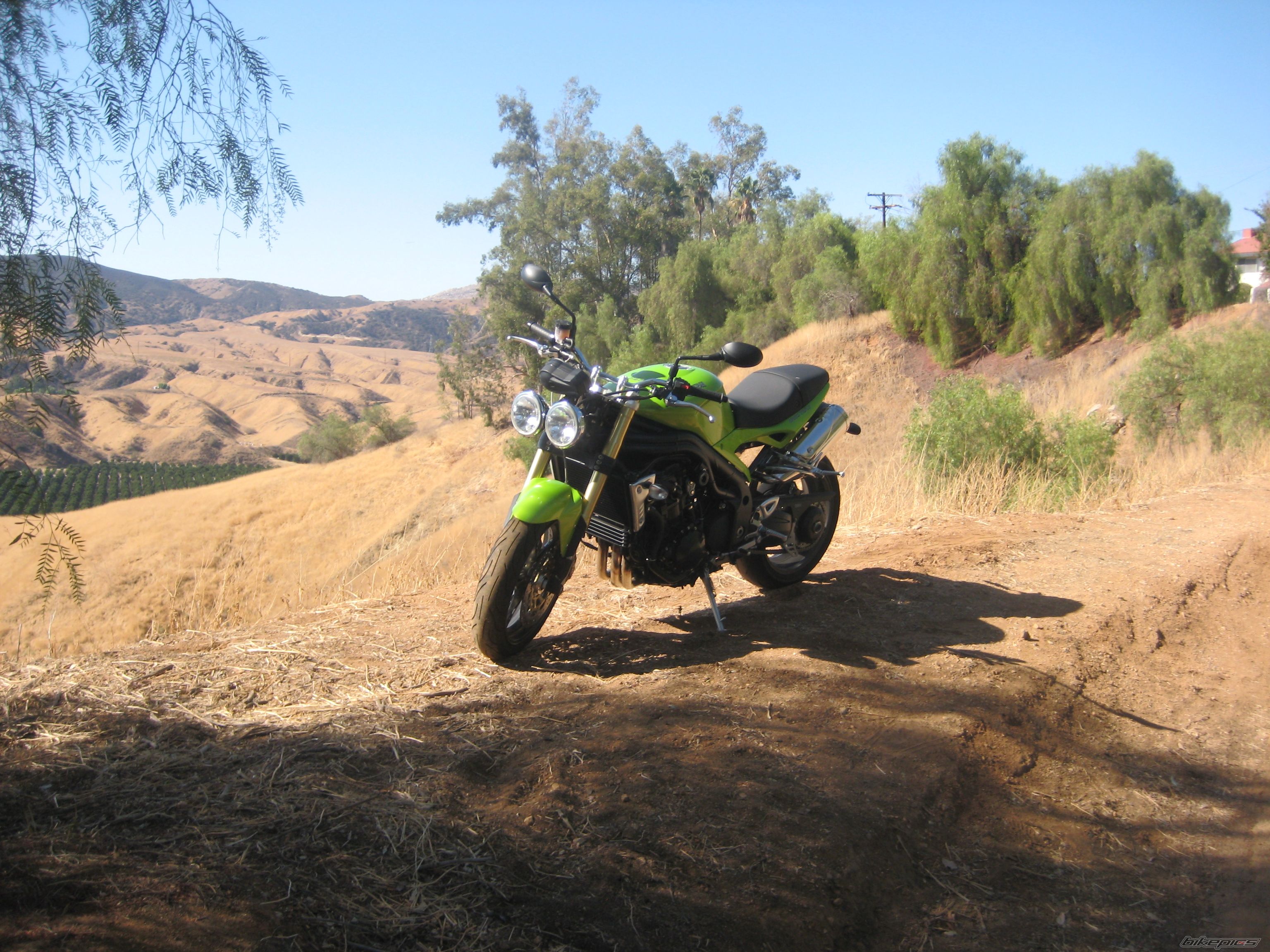 Photo 1473334