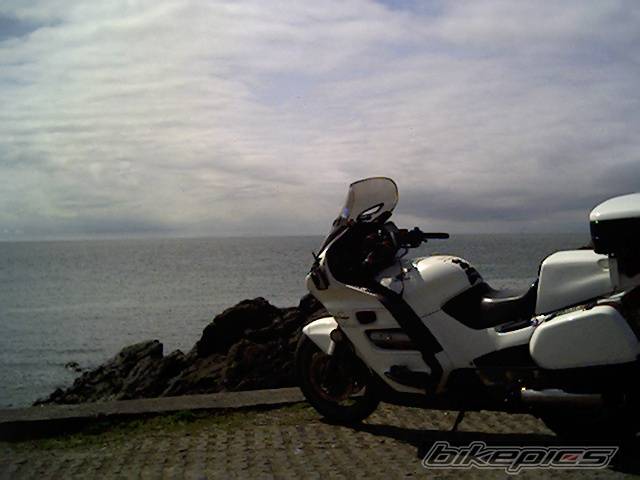 Photo 147334