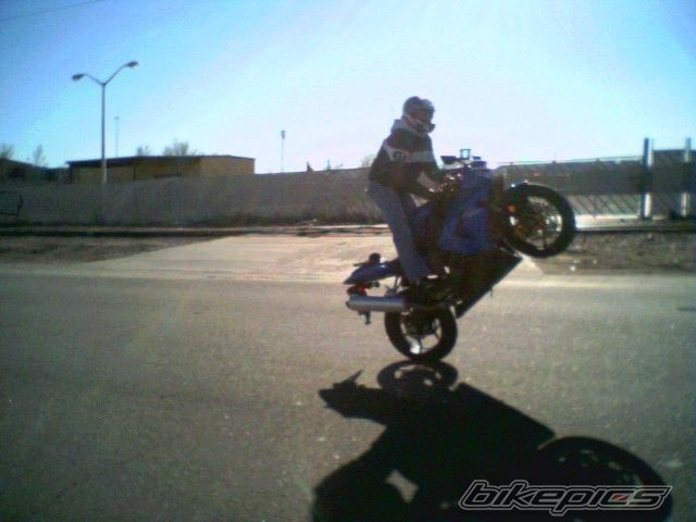 Photo 1473351