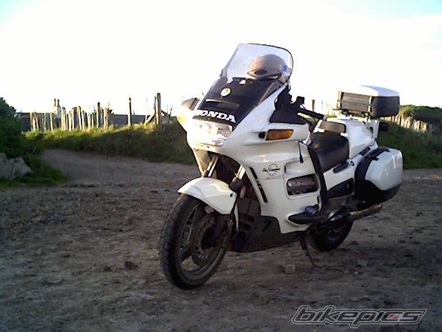 Photo 147339