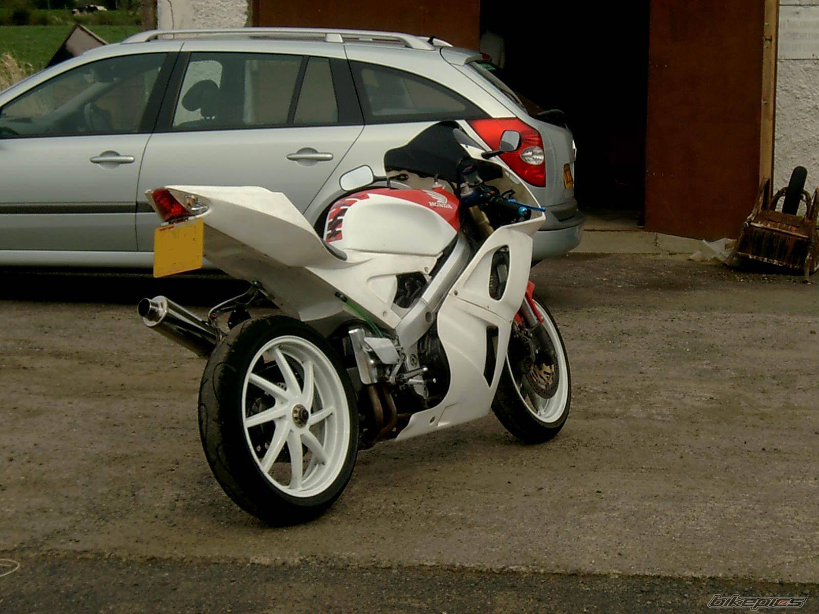 Photo 147342