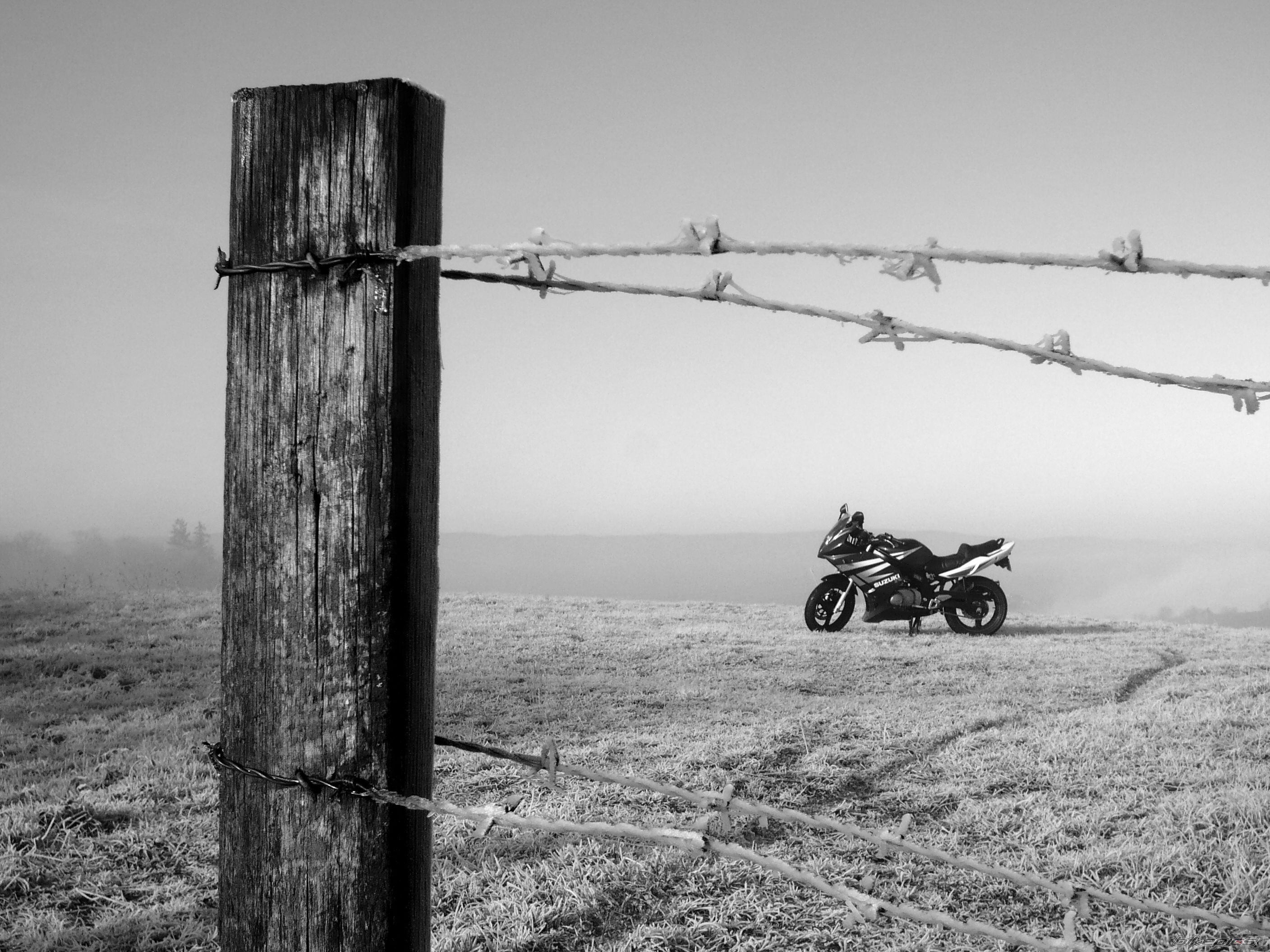 Bike Photo 1473699
