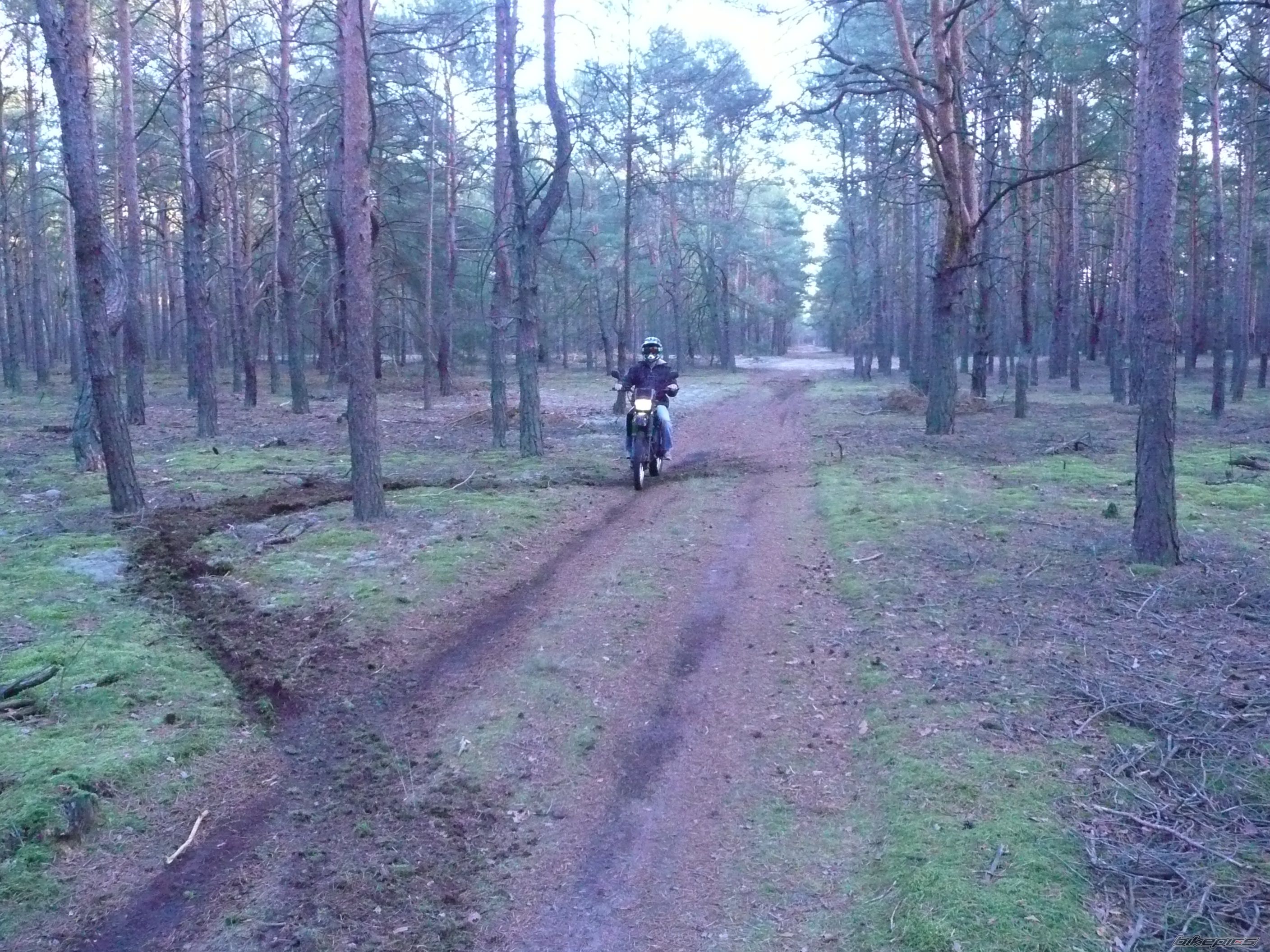 Photo 1473817