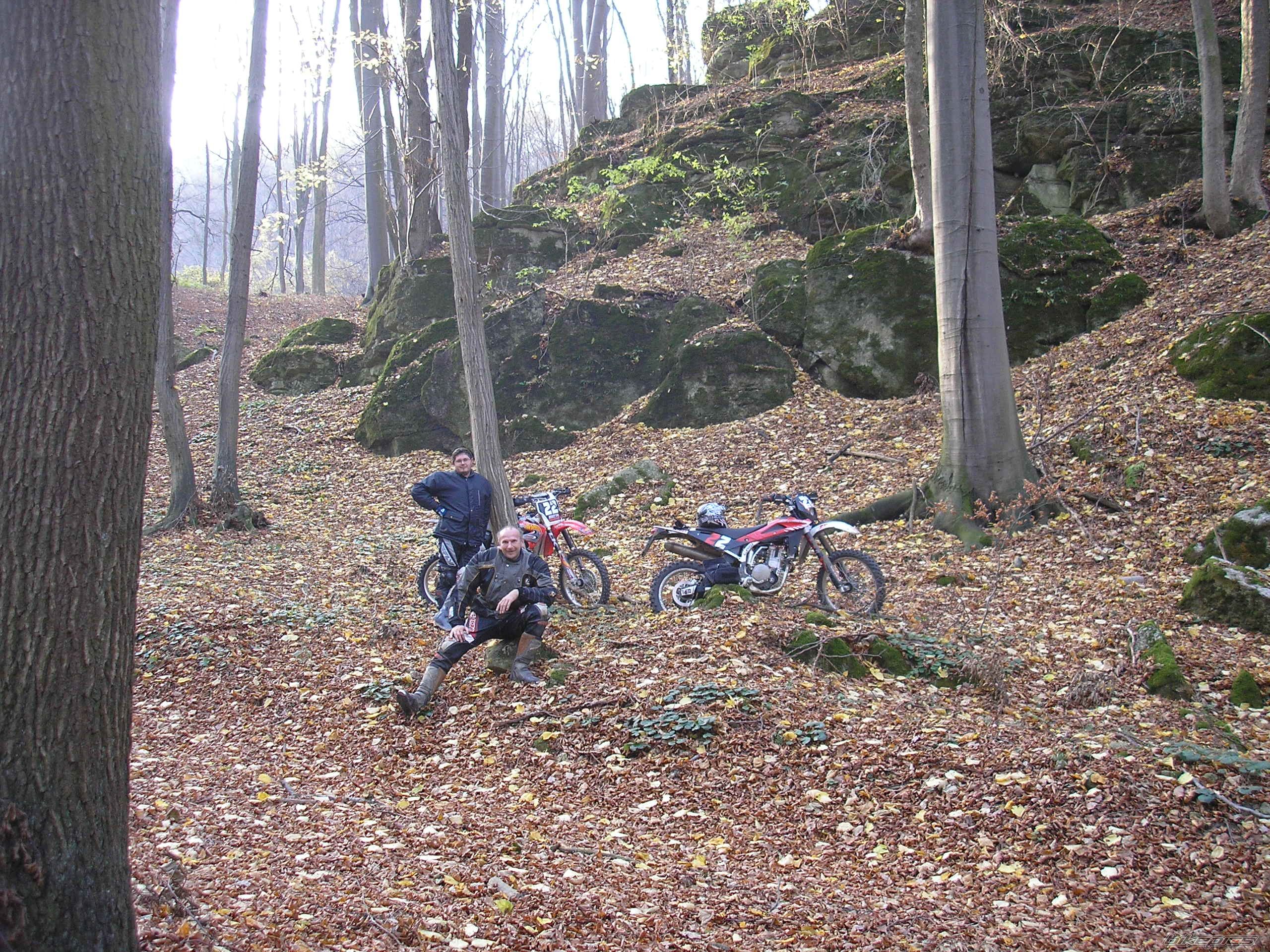 Photo 1473819