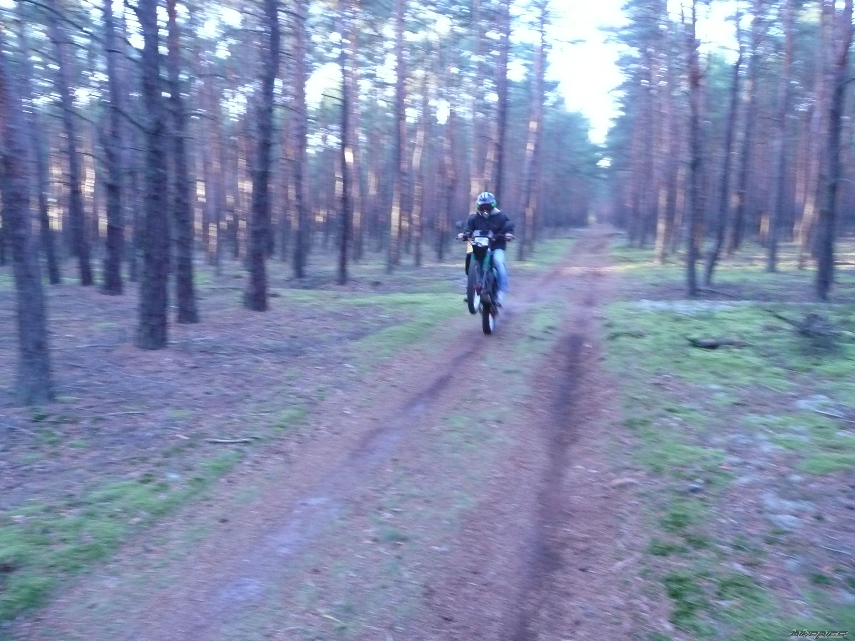 Photo 1473822