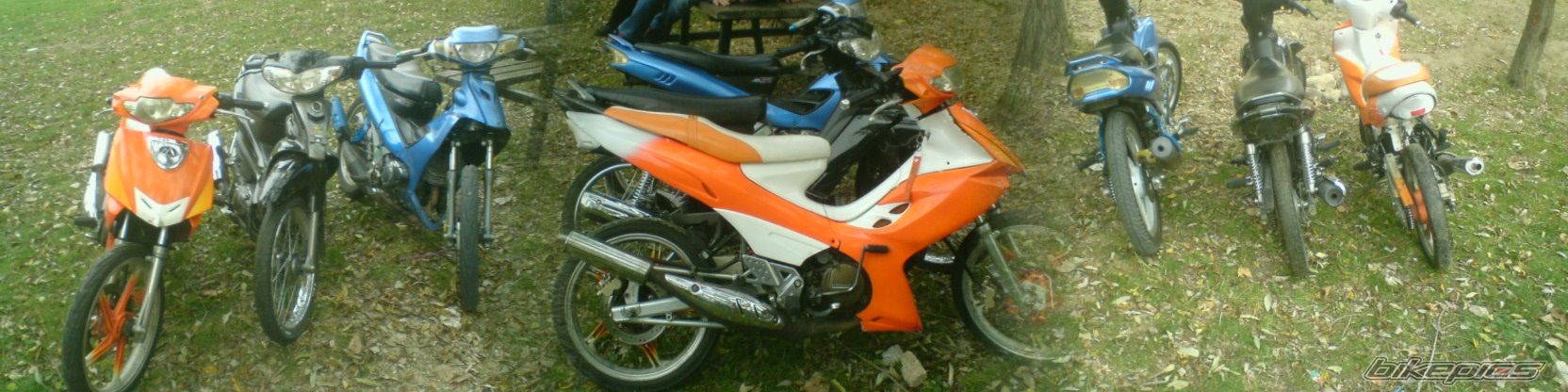 Photo 1473859