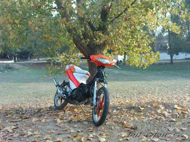 Photo 1473865