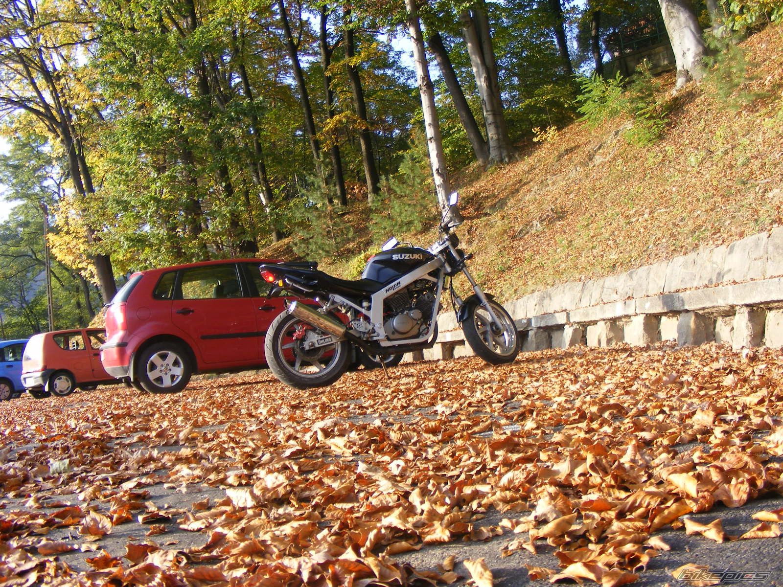 Photo 1473961