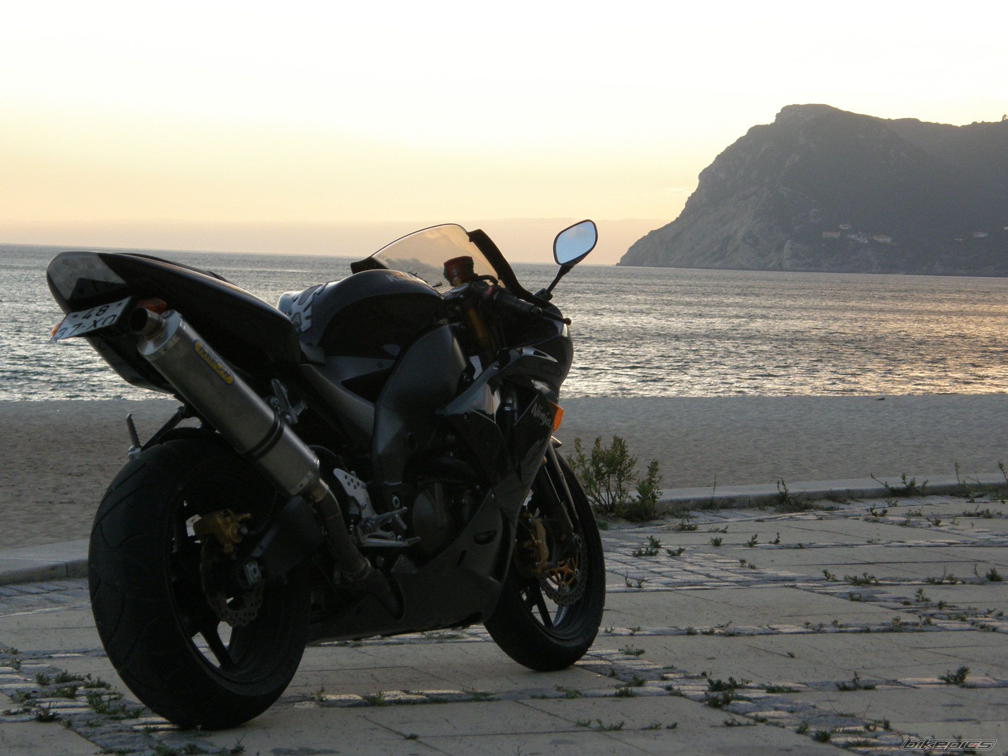 Photo 1474009