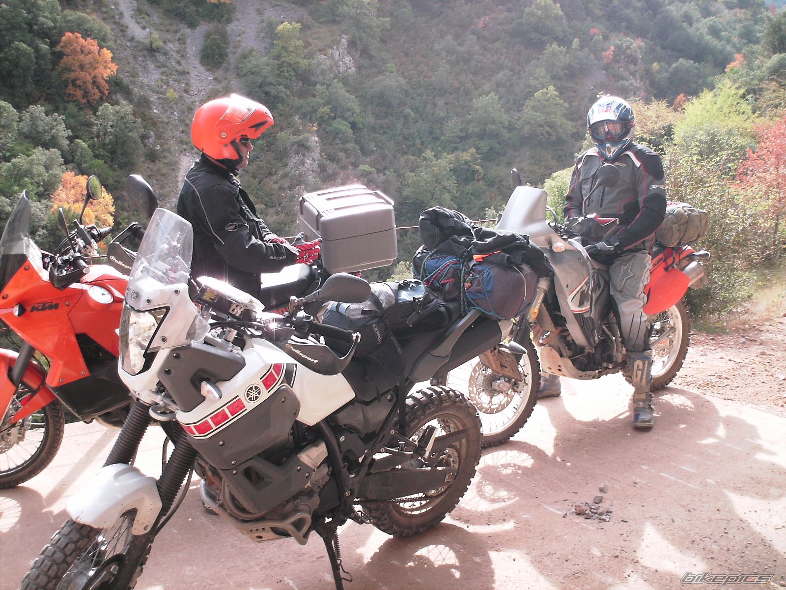 Bike Photo 1474053
