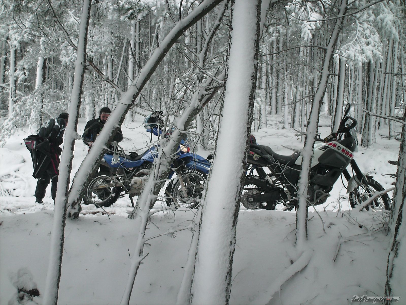 Bike Photo 1474060