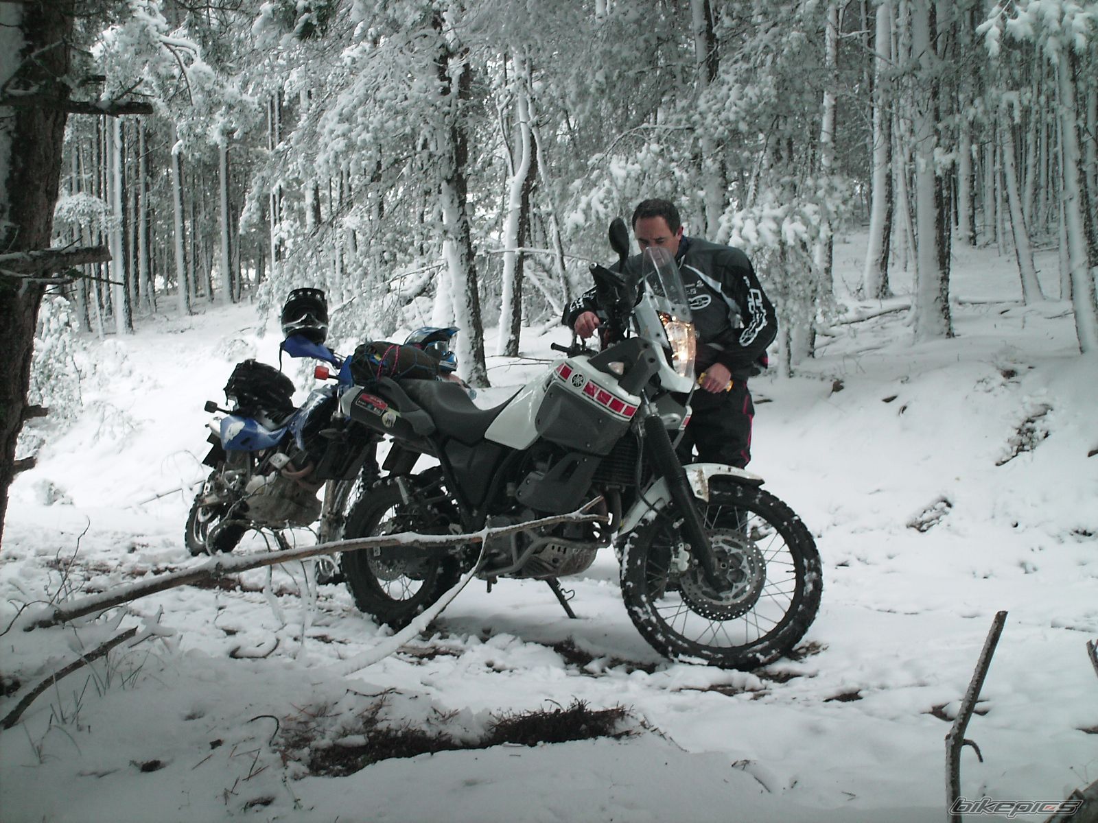 Bike Photo 1474063