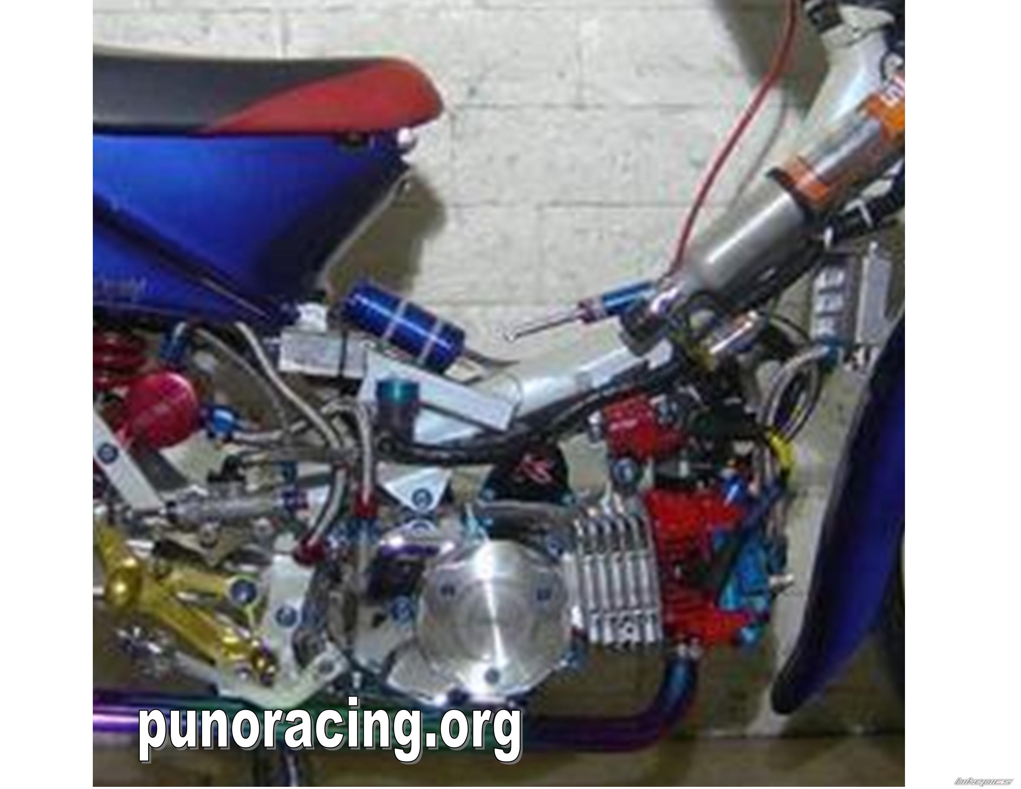 Photo 1474064