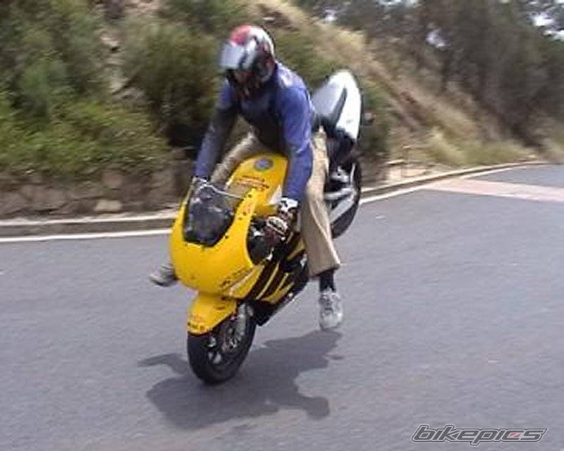Photo 14741