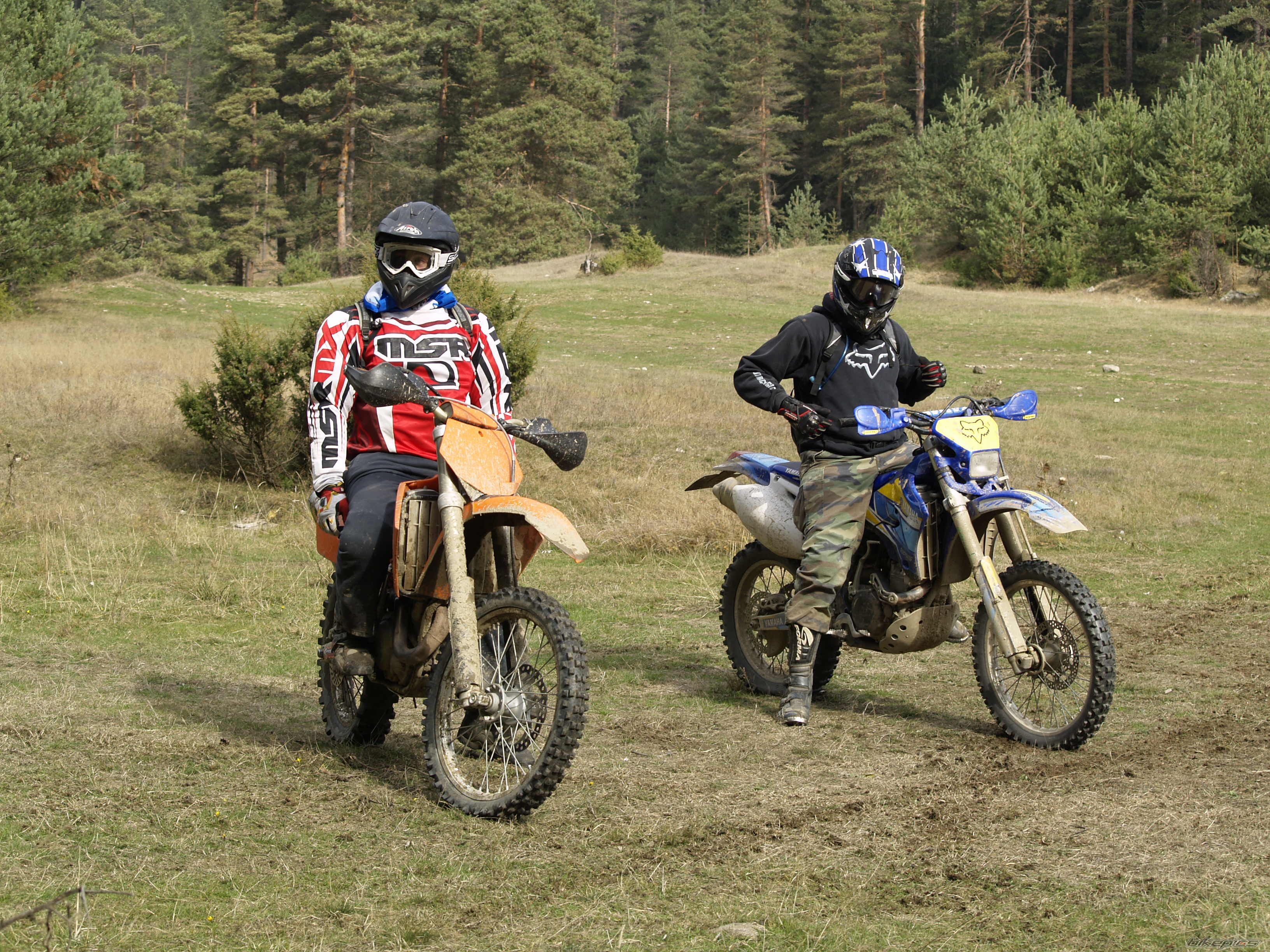 Photo 1474189