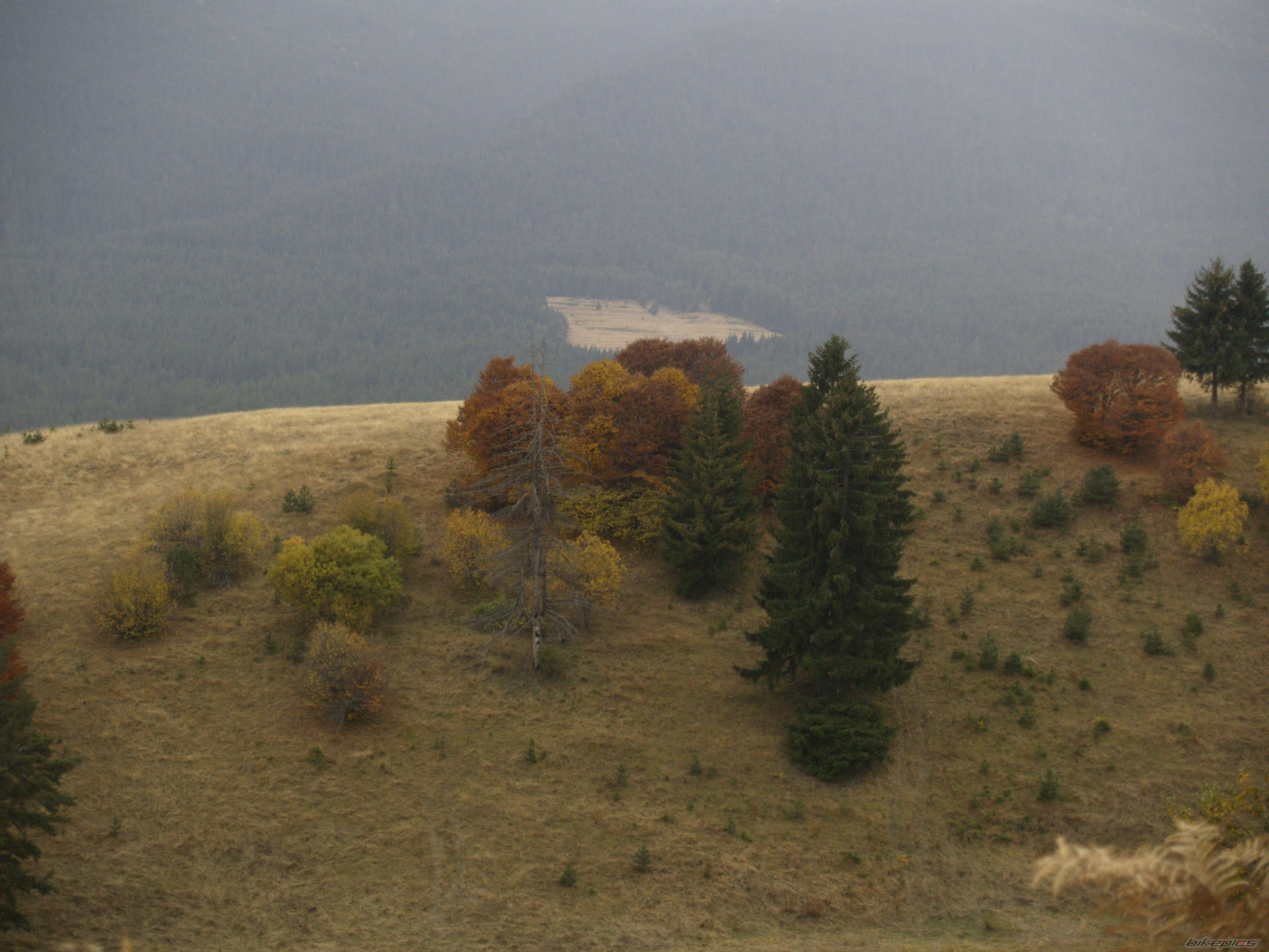 Photo 1474196