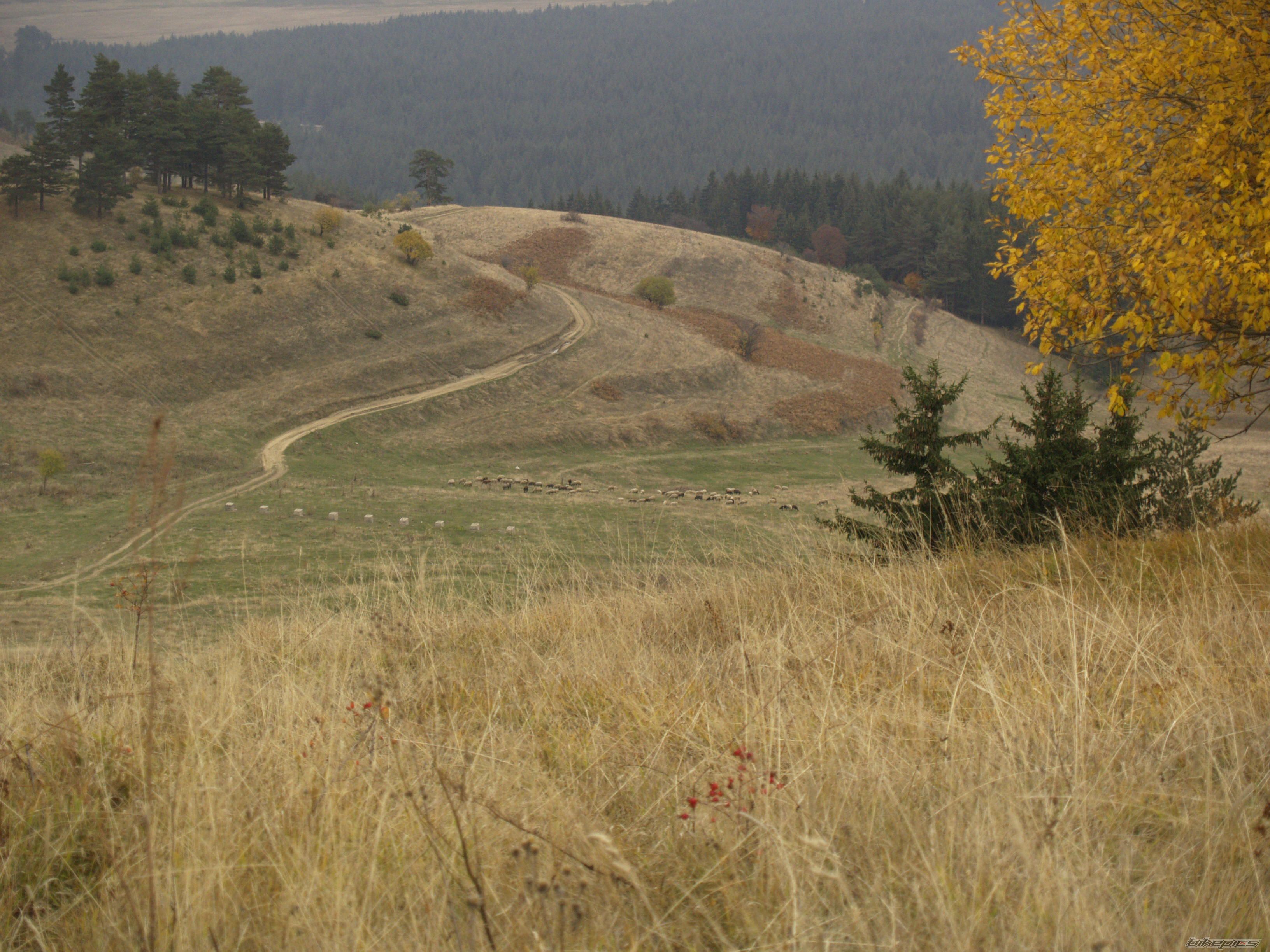 Photo 1474201