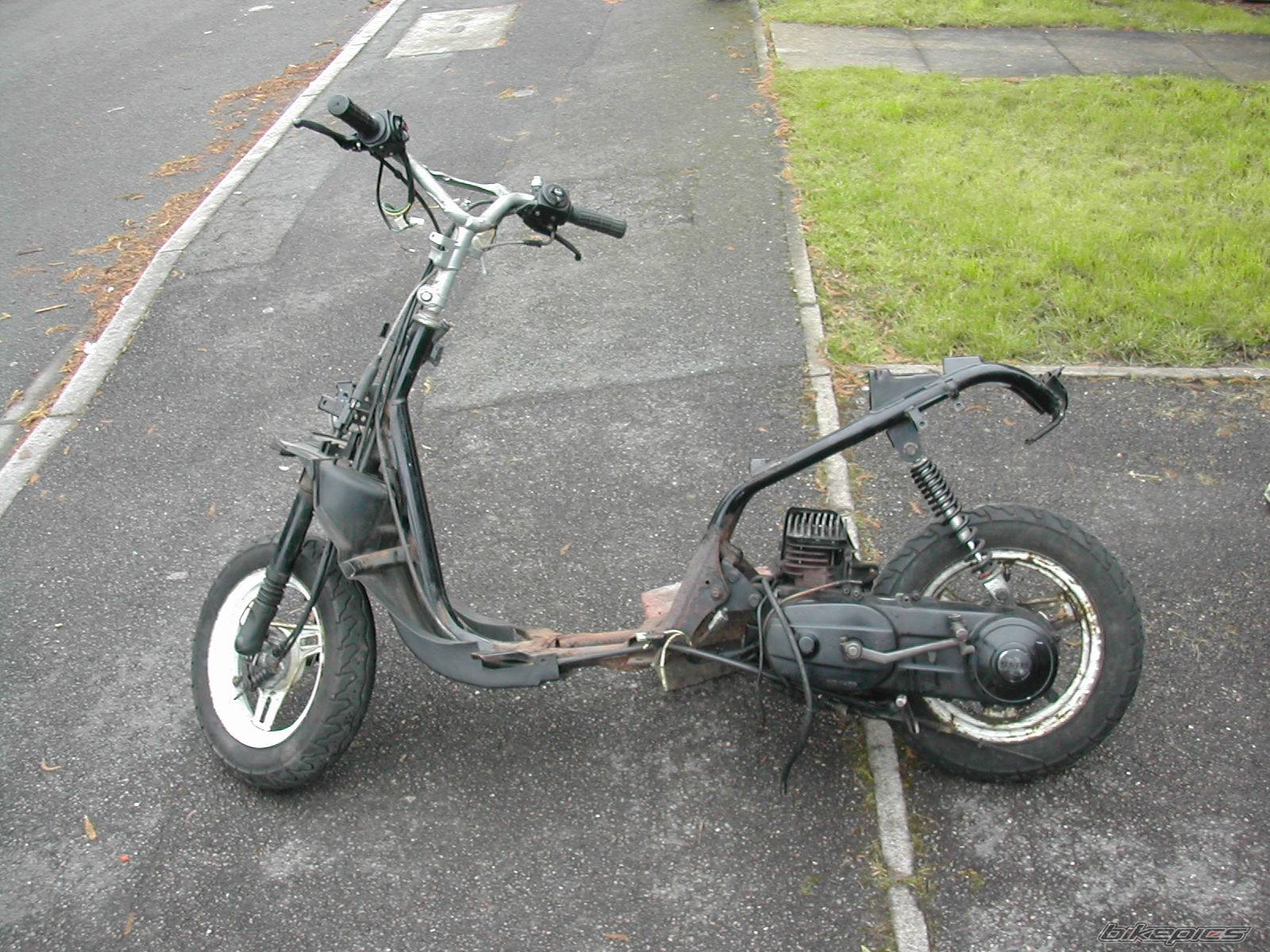 Photo 147421