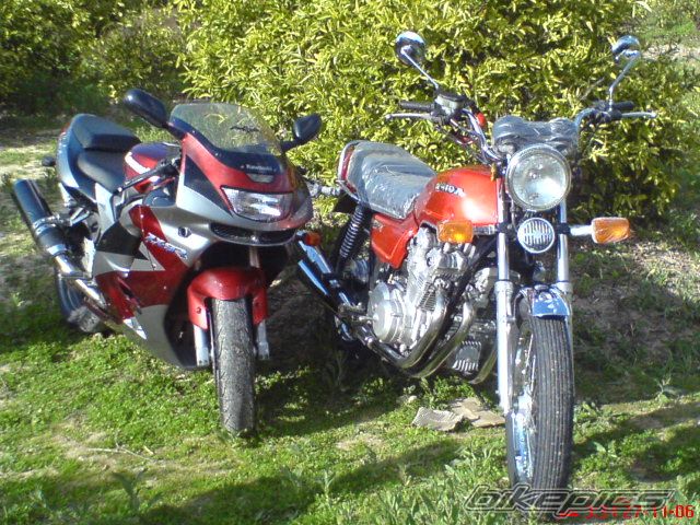 Photo 1474216